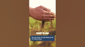 Bài học từ chuột sa hũ gạo: Cạm bẫy của sự thỏa mãn nhất thời