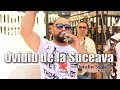 Godici - Peke - Ovidiu De La Suceava - Nunta Dubla la Iulica , Resita - * NOU *