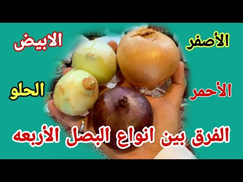 ما الفرق بين البصل الأبيض والاحمر في الطبخ الشيف بن قاسم