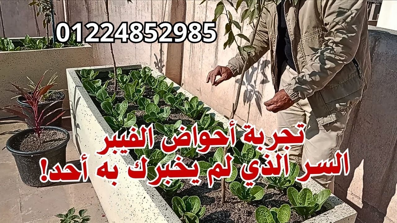 ما الذي حدث للنباتات بعد أسبوعين من الزراعة في أحواض الفيبر؟ النتيجة هتصدمك!