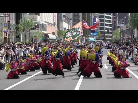 法政大学YOSAKOIソーランサークル鳳遙恋＠2019　銀座柳まつり