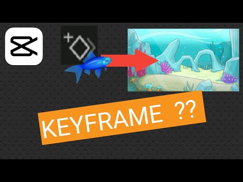 [Tutorial]How to use Keyframe in Capcut / [Tuto]Comment utiliser les keyframe avec Capcut