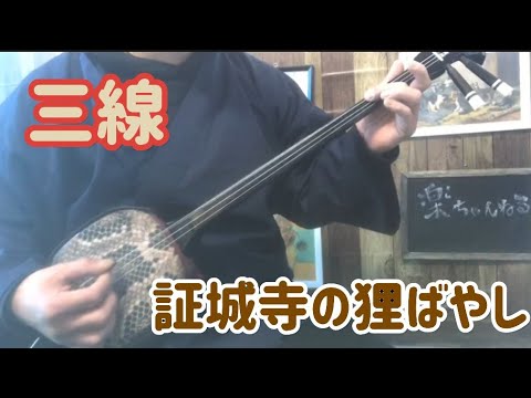 三線で『証城寺のたぬきばやし』