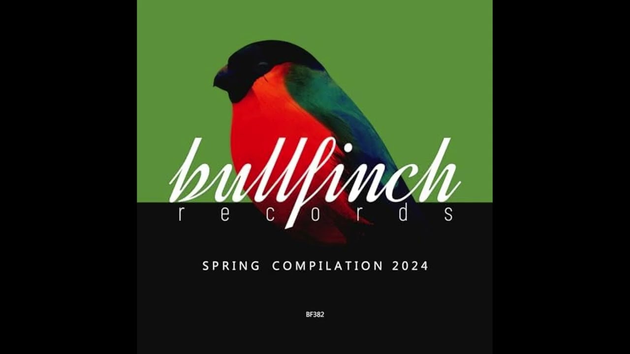 Various Artists – Bullfinch Summer Compilation 2024 [Mixed by Erico Falcone]