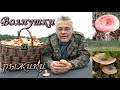 Супер сбор грибов! Волнушки и рыжики. Отпуск - часть 1. Great collection of mushrooms!