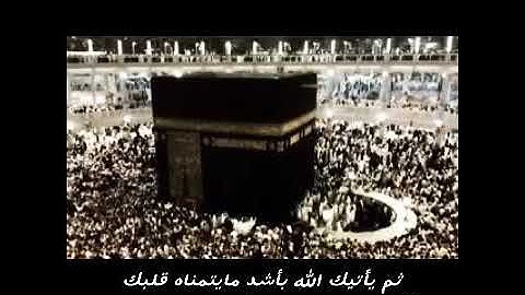 حالات واتس آب دينية /قرآن كريم ارح قلبك وسمعك /#حالات دينية❤️