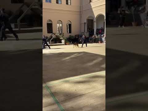 La simulazione in una scuola di Palermo con spari a salve