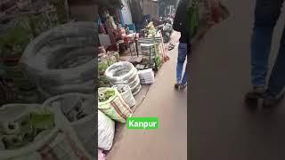 kanpur kulli bazar #shorts #cbshorts