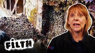 The LARGEST Wasps Nest Found In A Home | Pest Detectives | Episode 1 | Filth