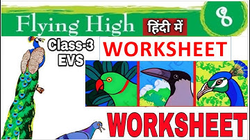 SOLVED WORKSHEET FLYING HIGH CHAPTER 8 EVS 3
