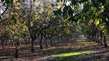 تلاوة جميله وخاشعه، آيات من سورة الأعراف sura al-a’raaf