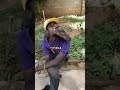 الله عليك ياباشا الله عليك ياباشا