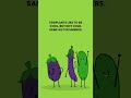 How to Store Eggplant #shorts