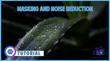 ON1 Photo Raw 2021 Noise Reduction Tutorial