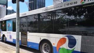 Brisbane Transport Buses.