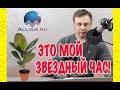 КОЛЛЕКТОР ЗНАЕТ КТО ТАКОЙ КУЗНЕЦОВ ИЗ АЛЛИАМ | Как не платить кредит | Кузнецов | Аллиам