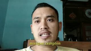 Story WA lucu bahasa jawa