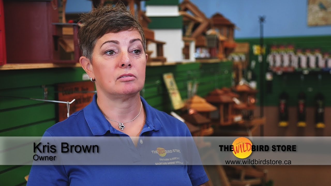 Wild Bird Store Business Video Portrait