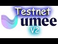 Testnet Umee тестнет Umeemania!