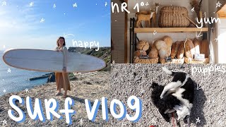 SURF VLOG NR ONE // cute puppies, favourite bakery, Portugal in January, surfing in the Algarve