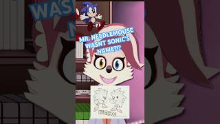 Sonic’s Prototype Name Was… #sonic #sonicthehedgehog #shorts