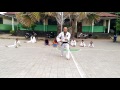 Basic/Jurus Dasar 1, 2 dan 3 @ Dojang MTC Kupang ( Madrasah Taekwondo Club )