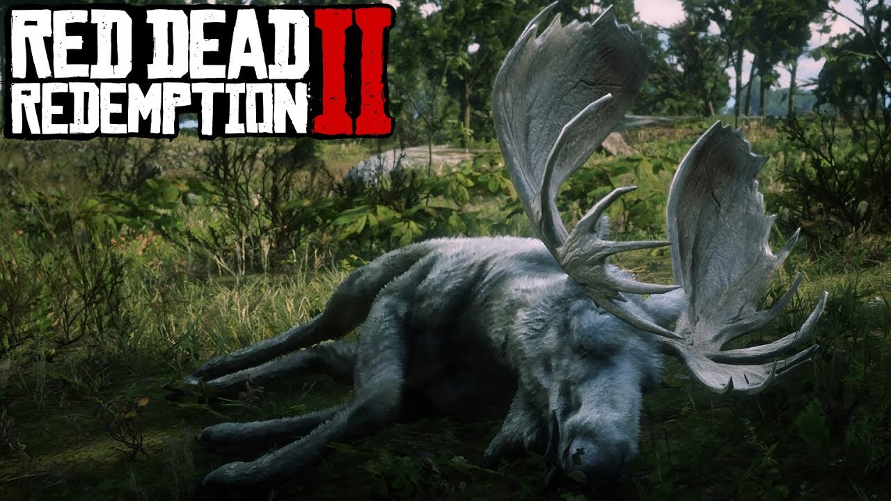 LEGENDARY MOOSE LOCATION! | Red Dead Redemption 2 - YouTube