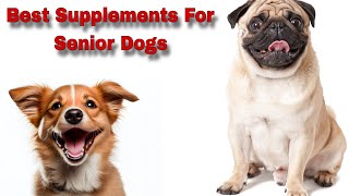 Best Supplements For Senior Dogs II वरिष्ठ कुत्तों के लिए सर्वोत्तम अनुपूरक II Happypet