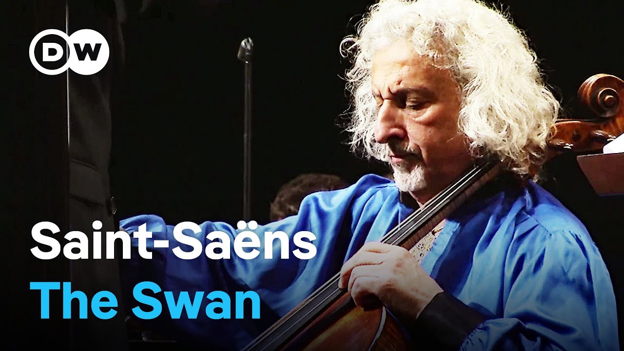 Сен-Санс: Лебедь — шедевр романтизма | Миша Майский, виолончель