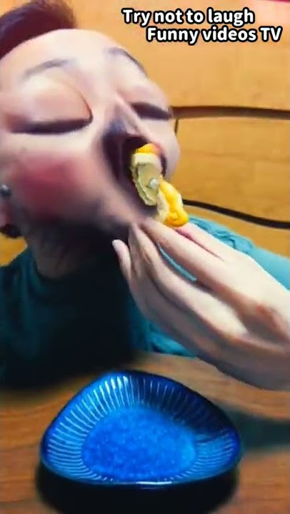 try not to laugh 🤣🤣🤣 funny video 🤣🤣🤣