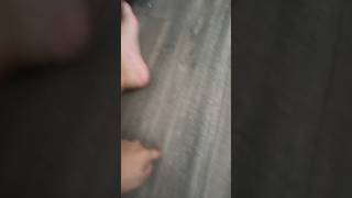 Regency Television Logo