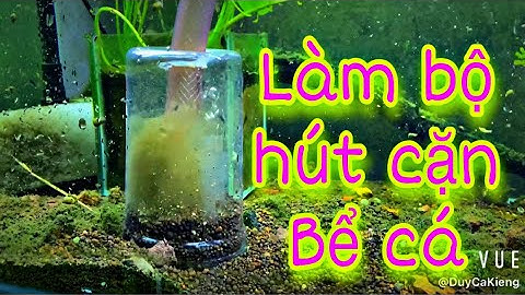 Chế Bộ Hút Cặn Bể Cá Hiệu Quả Cực Cao