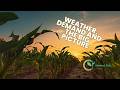 Weather, Demand In Focus for Grains | Cattle Continue Surge