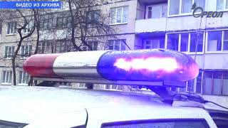 ДТП с участием животного ДТП с участием животного