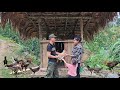 Single Mother Happy To Receive These Breeding Chickens From Good Man Single Mother Happy To Receive These Breeding Chickens From Good Man