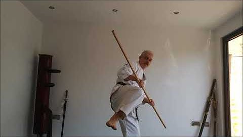 7th kyu Yellow belt to Orange Belt.