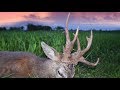 Roebuck hunting in Romania 2017 best of compilation; Rehbockjagd in Rumänien 2017 beste Momente