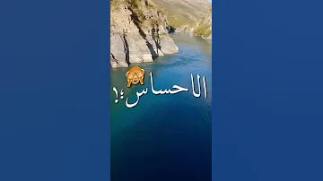 امي يا ست الناس ملكه الاحساس ملكيش مهرجانات مودي امين 2022 