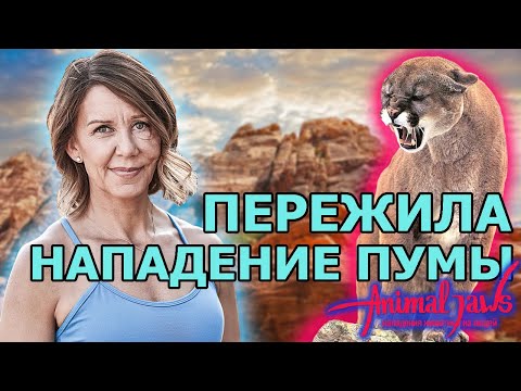 Рассказ женщины, которая пережила нападение пумы