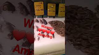 Wawooo Fish Supermarket .Jubail Nepal County Guys