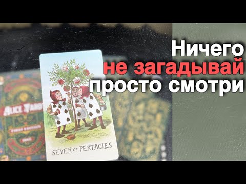 🔥 НЕ ПРОПУСТИ