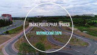 Лыжероллерная трасса. Муринский парк. Драка с лыжником.