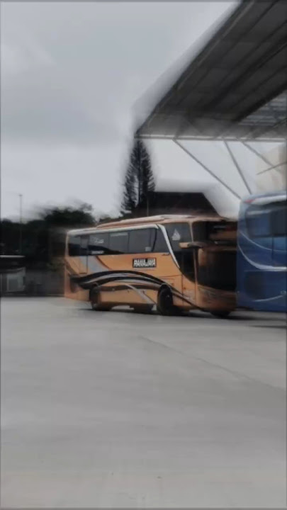 Bus Ranajaya Blitar Pride #bus #ranajaya #bumibungkarno #kotaproklamator