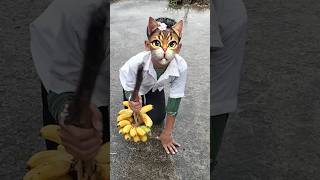 🤣 বিড়াল তুই কি খাবি 😜🤣#shorts#funnyvideo #comedyvideo#trending#youtubeshorts#viralshort