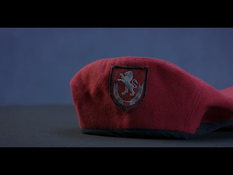 ვიდეოპროექტი ,,პასუხები ამ ფორმით\" - საზოგადოებრივი უსაფრთხოების მართვის ცენტრი \"112\"