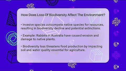 How Does Loss Of Biodiversity Affect The Environment? - Ecosystem Essentials