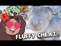 So FLUFFY!! New Planet Zoo Cheat... and New Real Life Baby?! 🐏 Planet Zoo Special!!