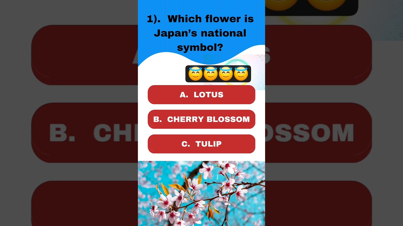 Test your flower knowledge 😇