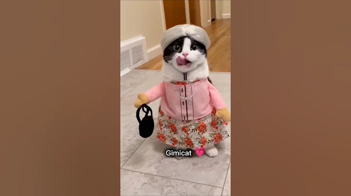 Watch the video about Cutie funny cat 🥰☺️ #cat #kitten #funnyanimal #funnycat #gimicat #cute #pets #trending #cutecatvideo