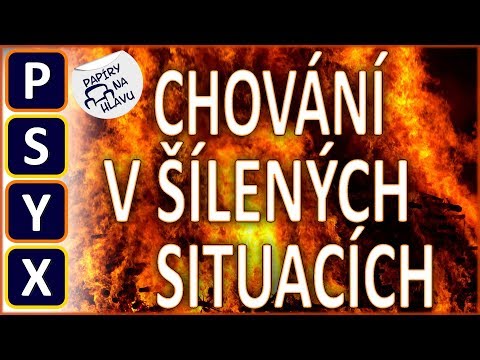 Video: Kontrola chování psa